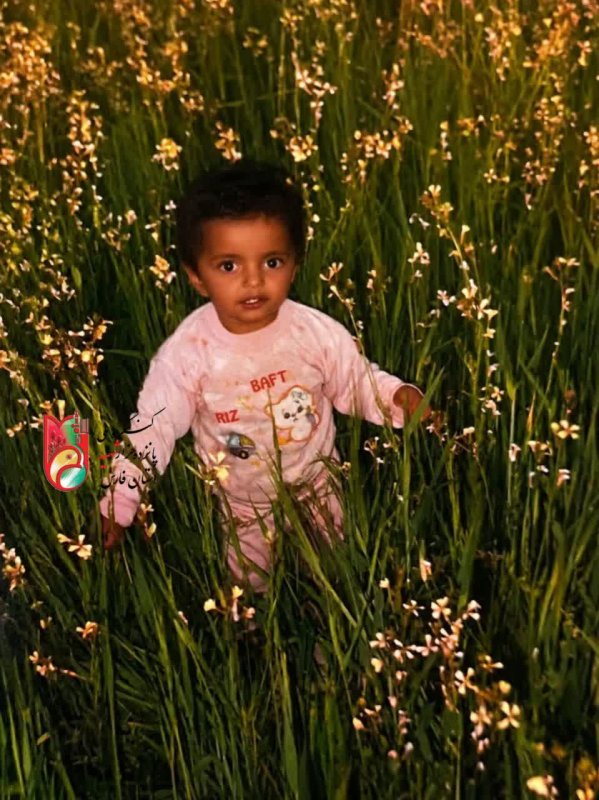 تصویر 2